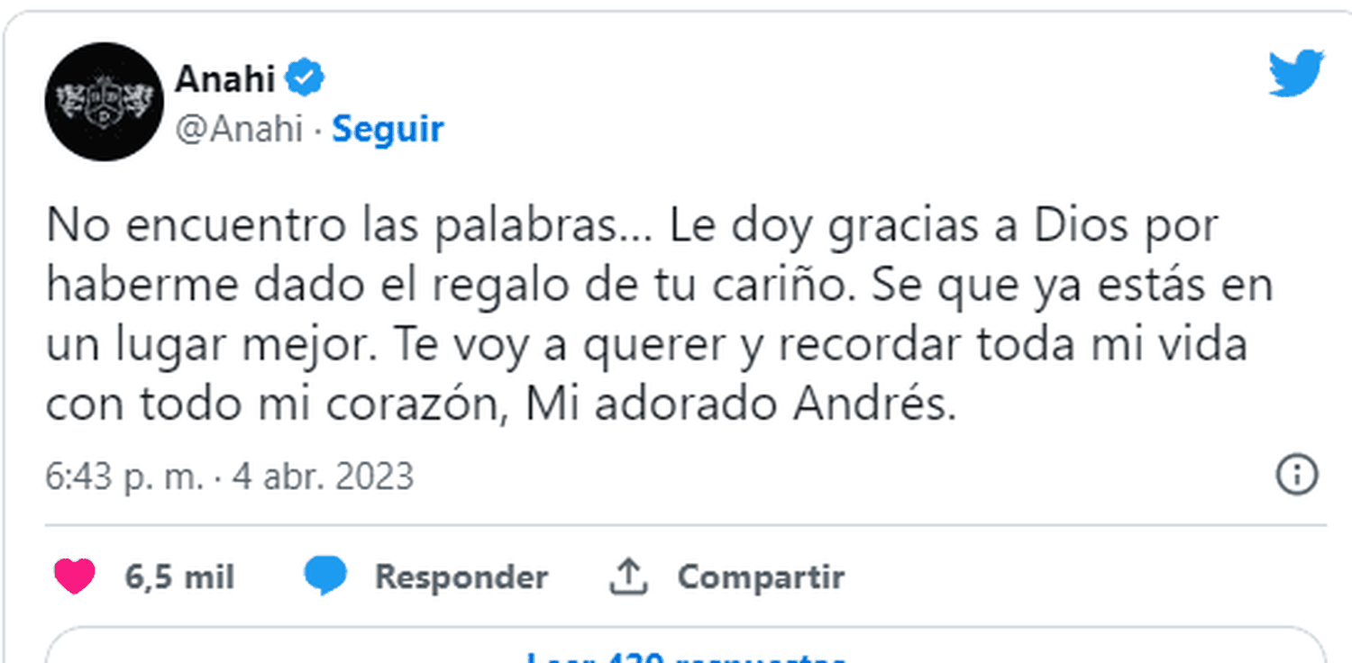 Este fue el emotivo mensaje con el que Anahí despidió a Andrés García. Foto Twitter