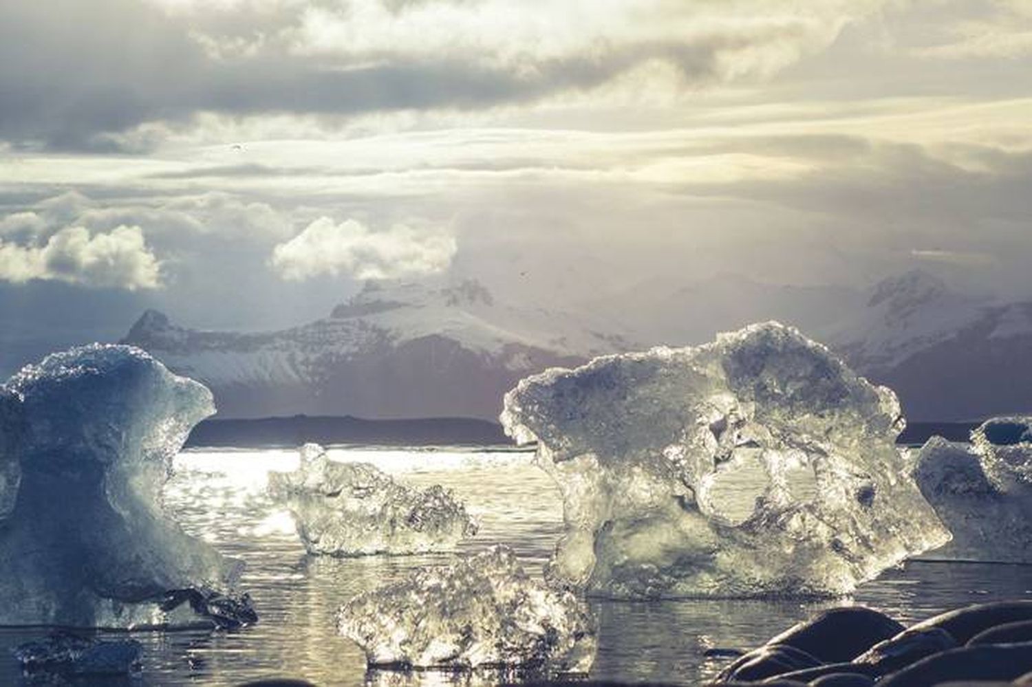 En 30 años, la Antártida perdió casi 4 billones de toneladas métricas de hielo