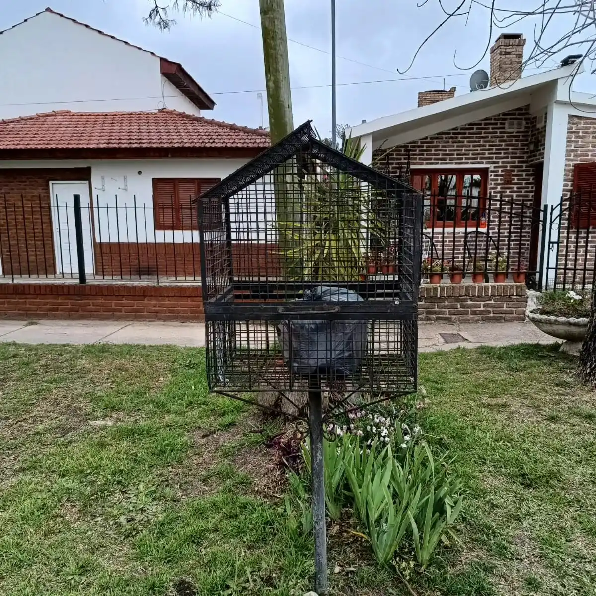 Ganadores del concurso "Tu cesto fachero"