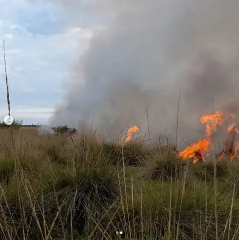 Bomberos trabajaron cinco horas sofocando un incendio