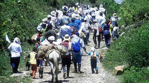 MÁS DE 300 DESPLAZADOS por combates entre las FARC, ELN y el Ejército