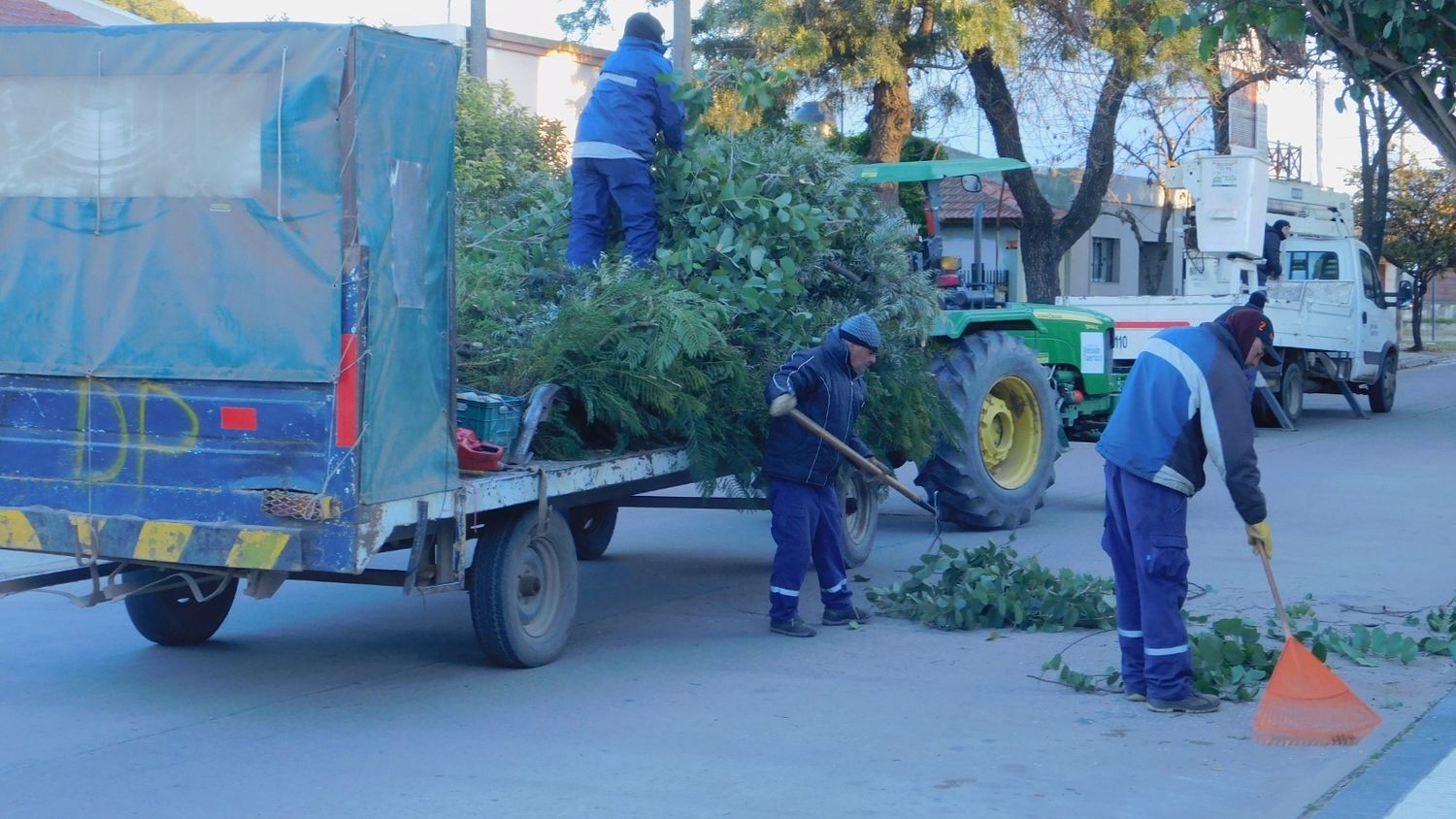 Las cuadrillas recogiendo los restos de la poda.