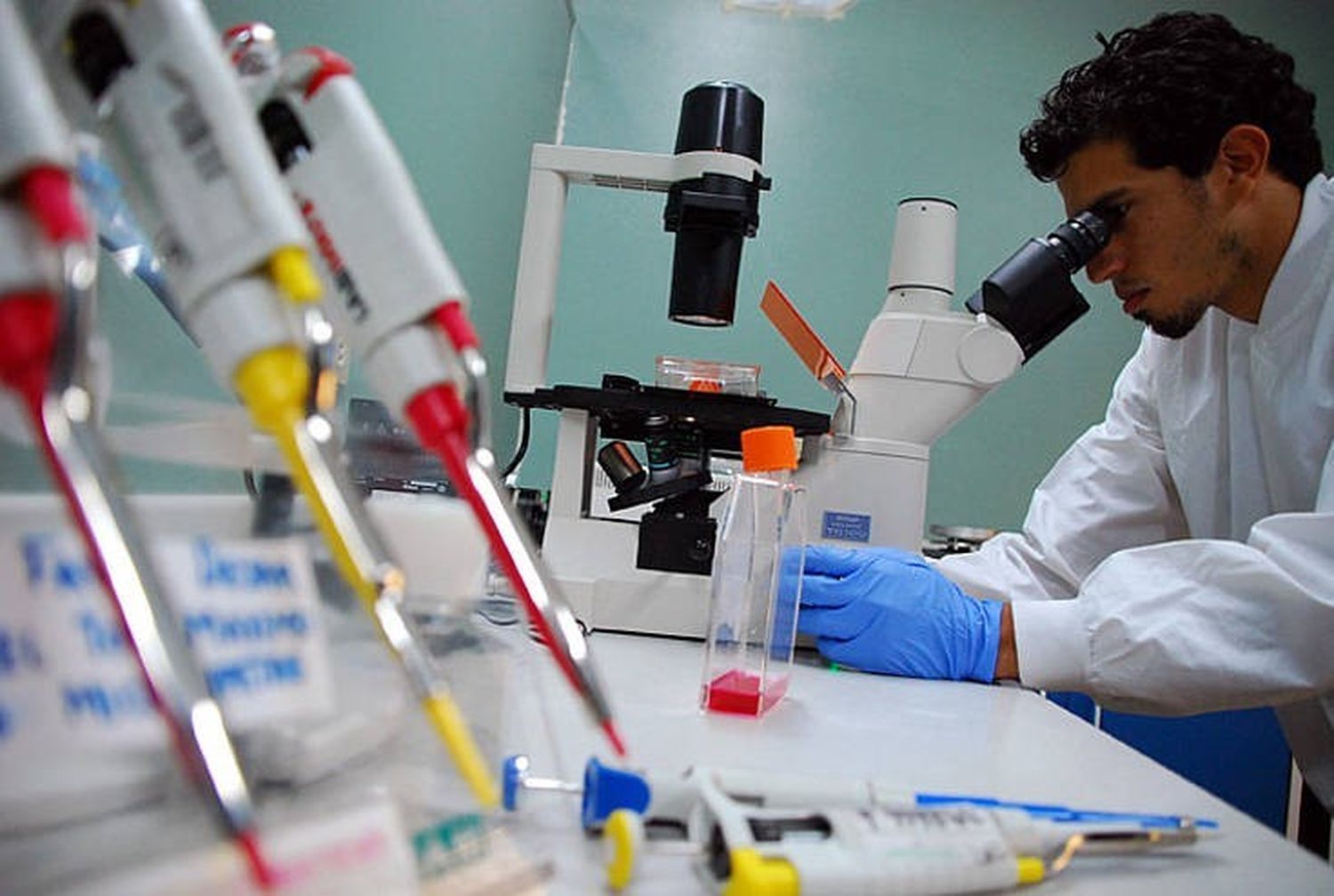 Crece la inversión en ciencia en Estados Unidos y China