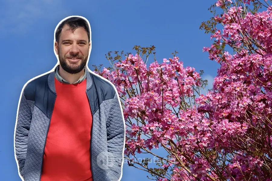 Paseo Yrigoyen propone capturar al lapacho rosado “para encarar lo que queda del año con más color y más alegría”