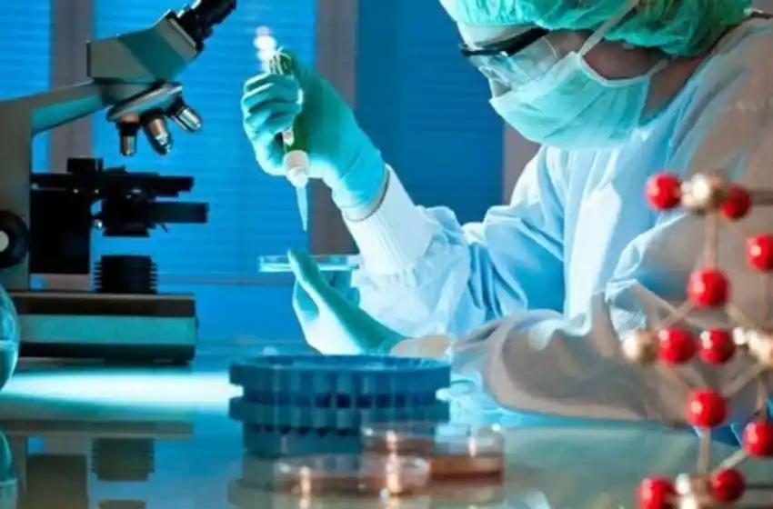 Argenvac 221: Mar del Plata desarrollará una nueva vacuna contra el Covid-19