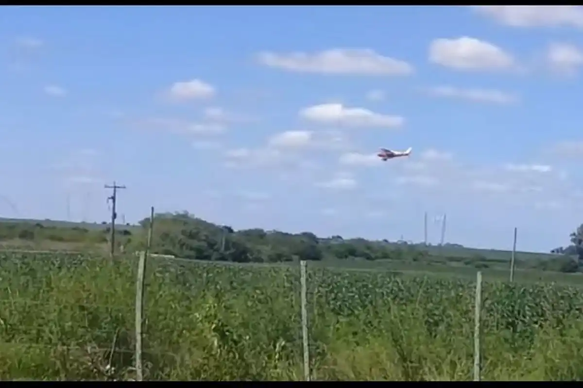 Gualeguaychú: Los fumigaron mientras comían un asado