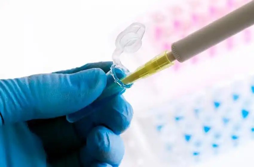 «Es posible que el año que viene contemos con una vacuna argentina»