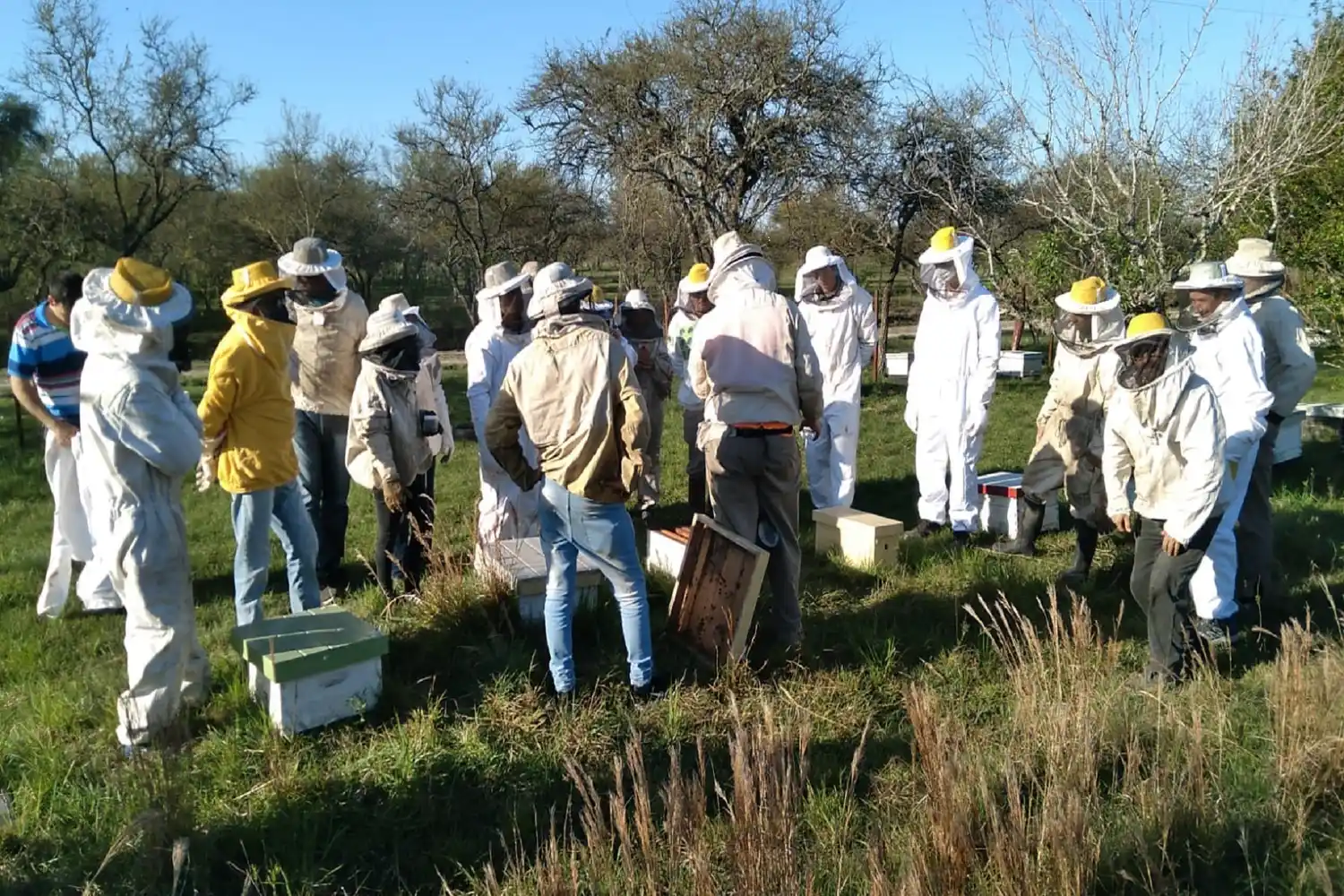 Entre Ríos accedió a financiamiento internacional para fortalecer la cadena apícola