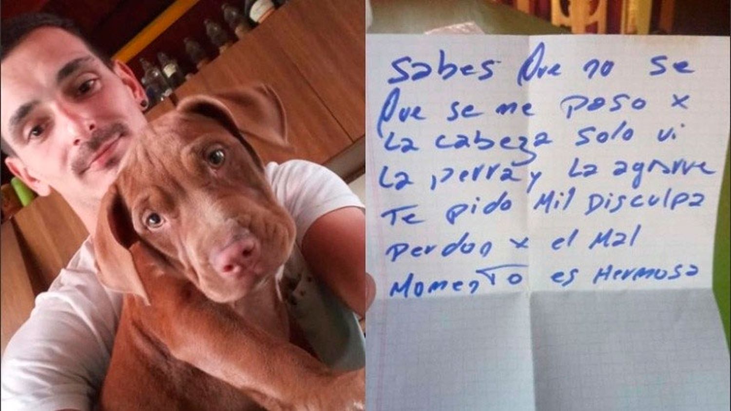Insólito: Robó una perra pero se arrepintió y la devolvió a su dueño junto a una carta