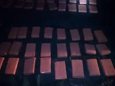 Detienen al conductor que transportaba 1000 kilos de marihuana