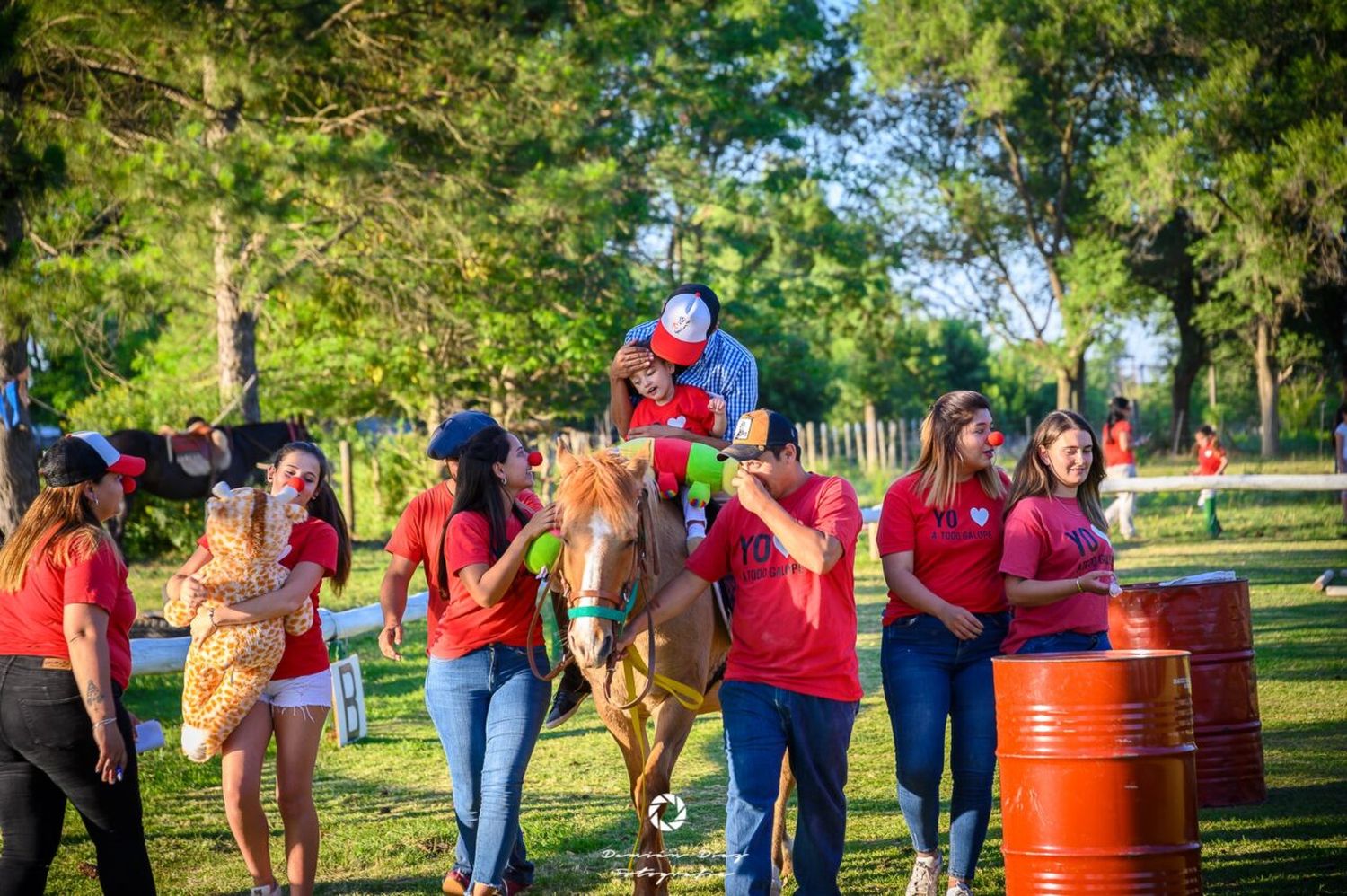 Rufino: roban cables y dejan sin luz a la Escuela de Equinoterapia