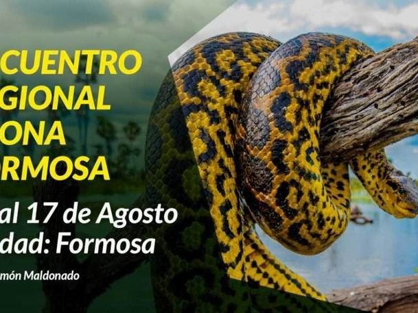 Se lanzó el Encuentro Regional AFONA Formosa