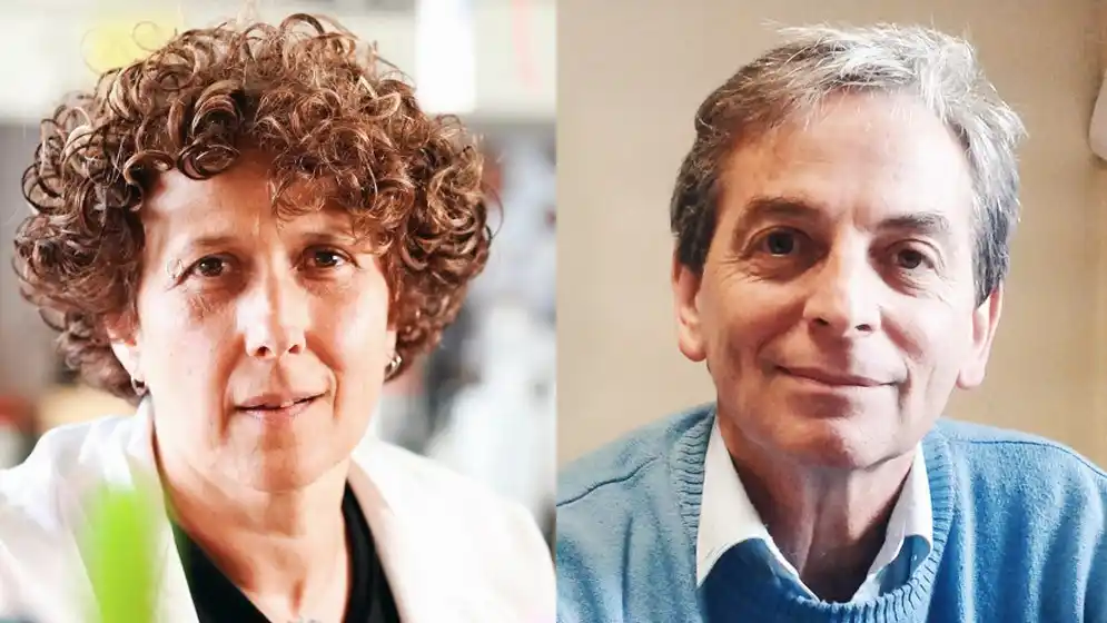 Estudio argentino avala la combinación de vacunas como esquema primario contra el coronavirus