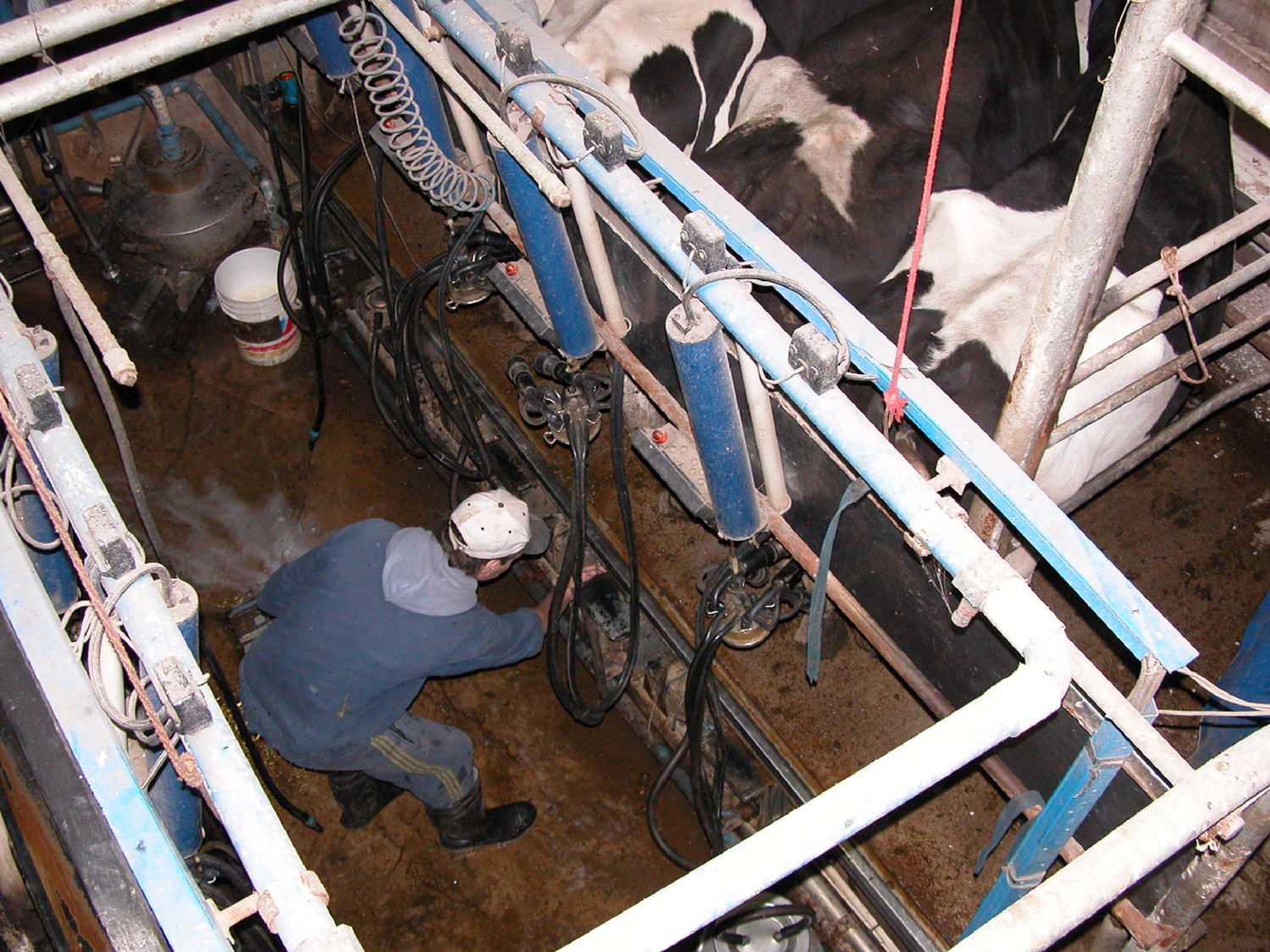 Se viene la jornada de tambos asociativos en la Rural