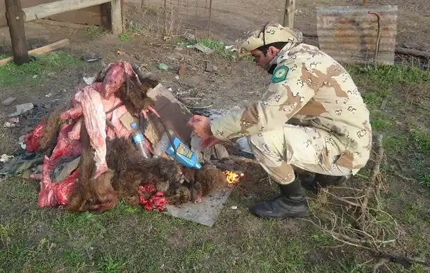 Decomisaron 23 armas de fuego y 79 animales cazados de forma ilegal