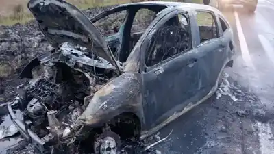 Ruta 14: un auto chocó un carpincho y se prendió fuego