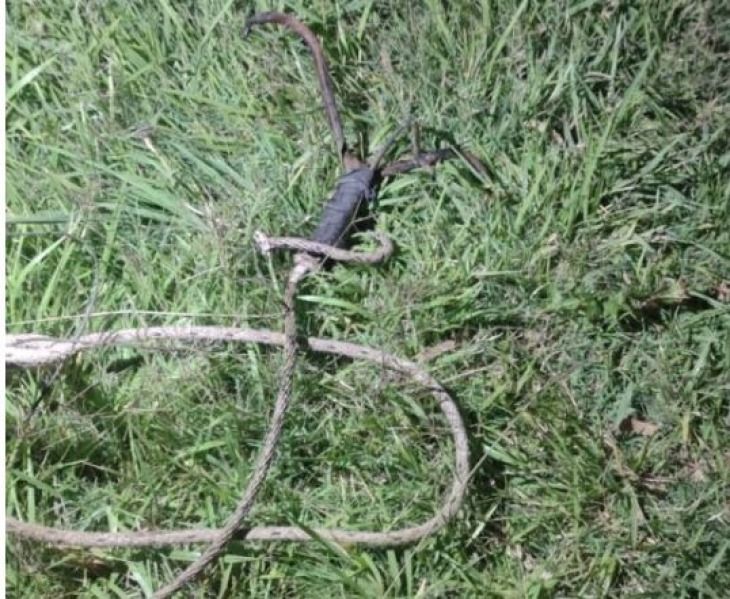Intentó robar cables y dejó sin servicio a varias localidades de Olavarría