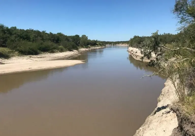 La cuenca del Gualeguay, en alerta: en 15 años se perdieron 58 mil hectáreas de bosques nativos
