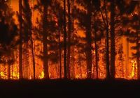 Casi la mitad de la población es vulnerable al cambio climático y hay urgencia sobre un plan de adaptación