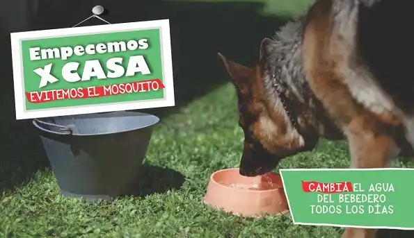 Confirmaron un caso de dengue en Entre Ríos