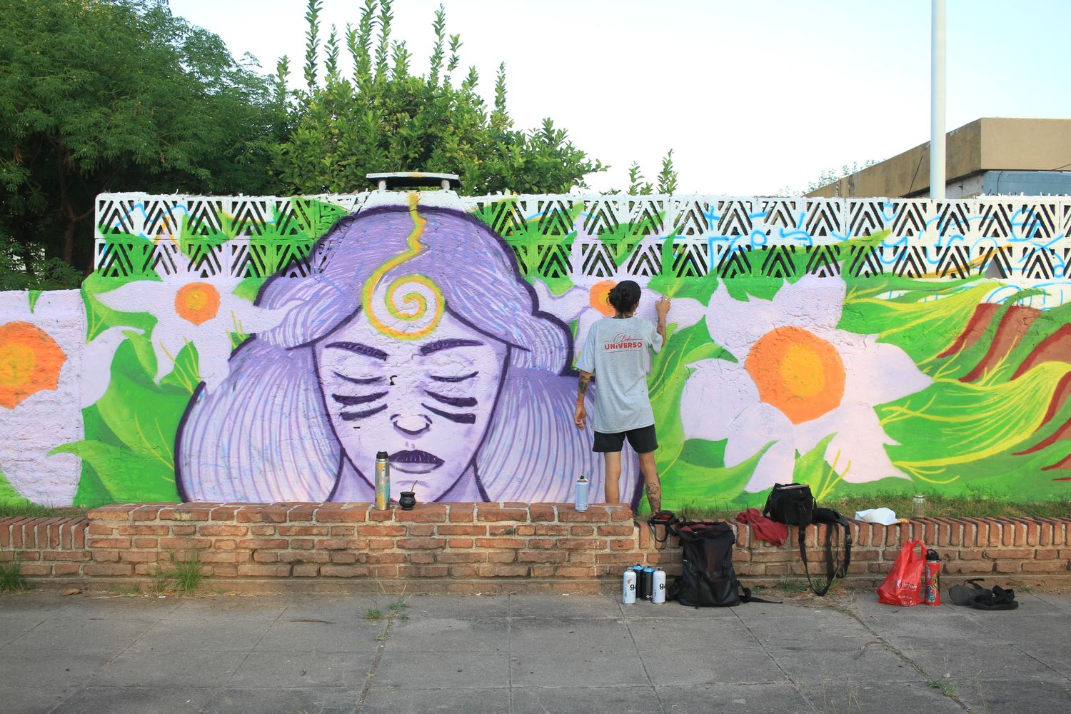 “Hacer grafitis en la ciudad es siempre un desafío, buscar paredes libres, evitar tener inconvenientes con los vecinos  genera mucha adrenalina”, aseguró el artista