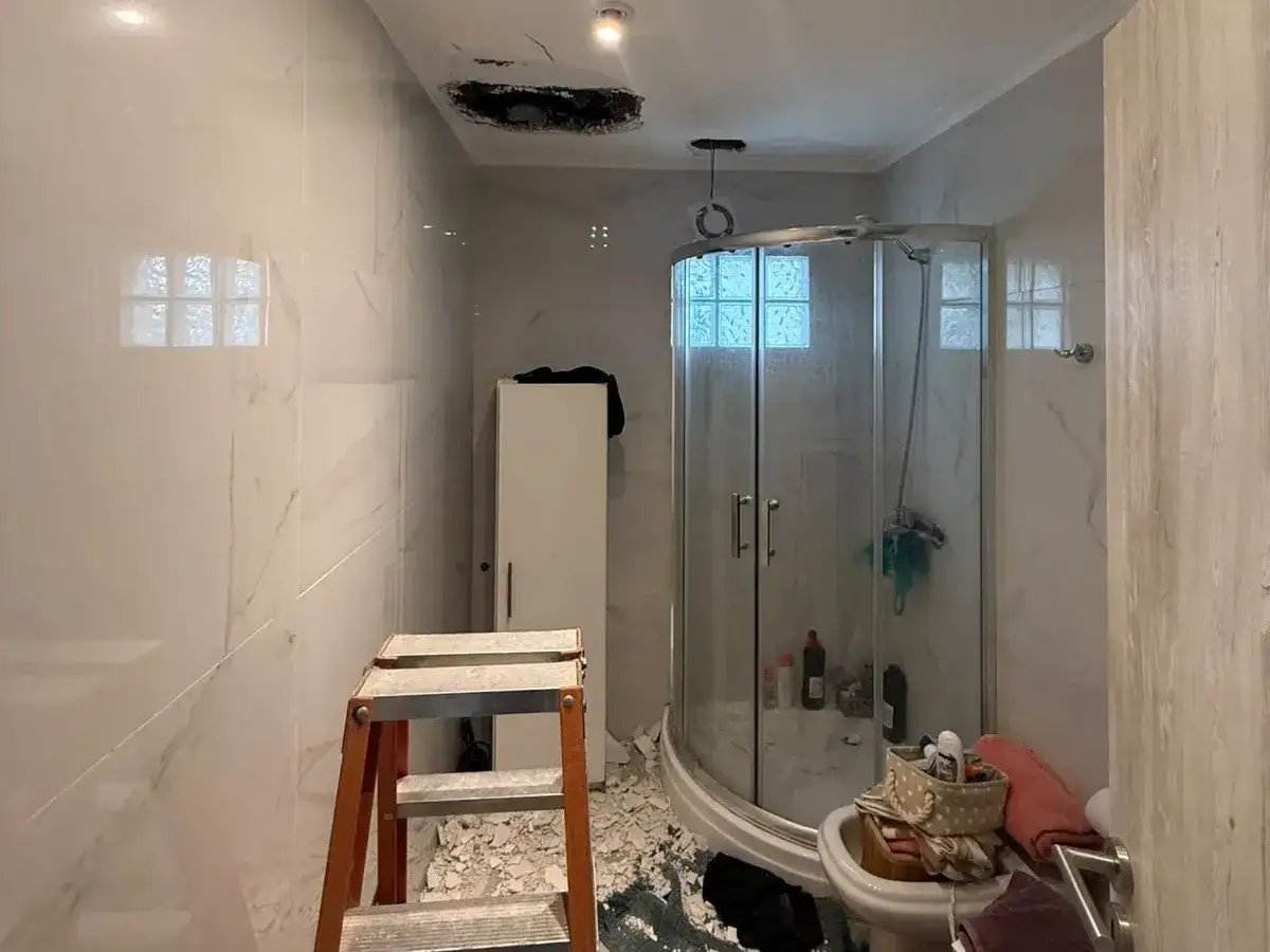 Los delincuentes ingresaron por el techo del baño de la propiedad tras realizar un boquete.