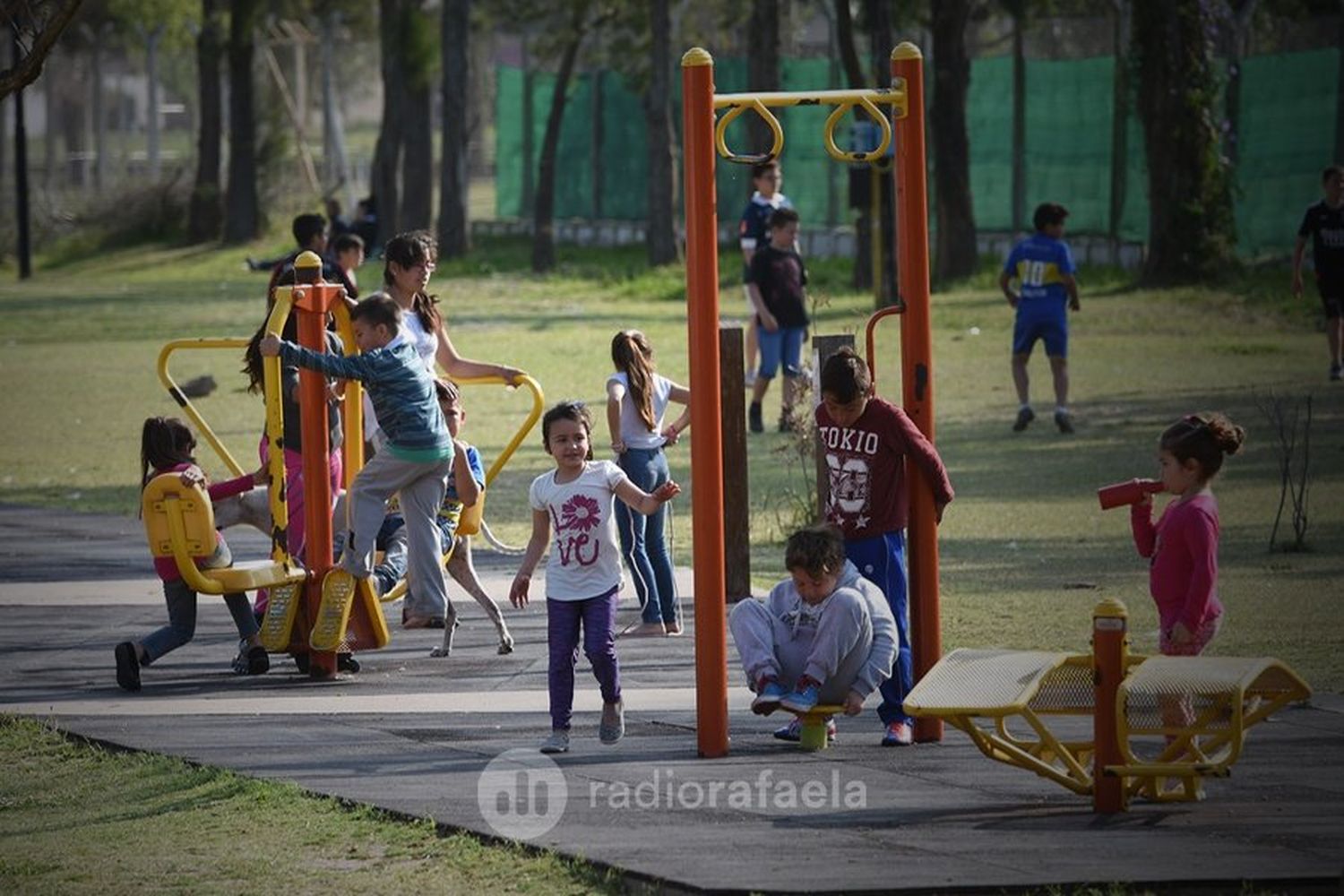 Lanzaron un plan de recuperación y creación de espacios verdes, ¿en qué consistirá?