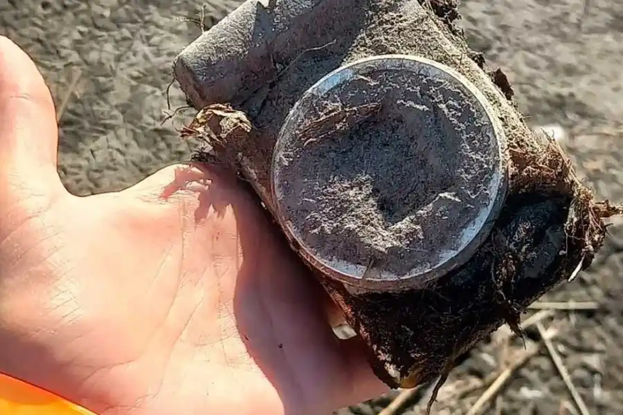 Encontró una cámara de fotos en los Esteros del Iberá y logró dar con sus dueños
