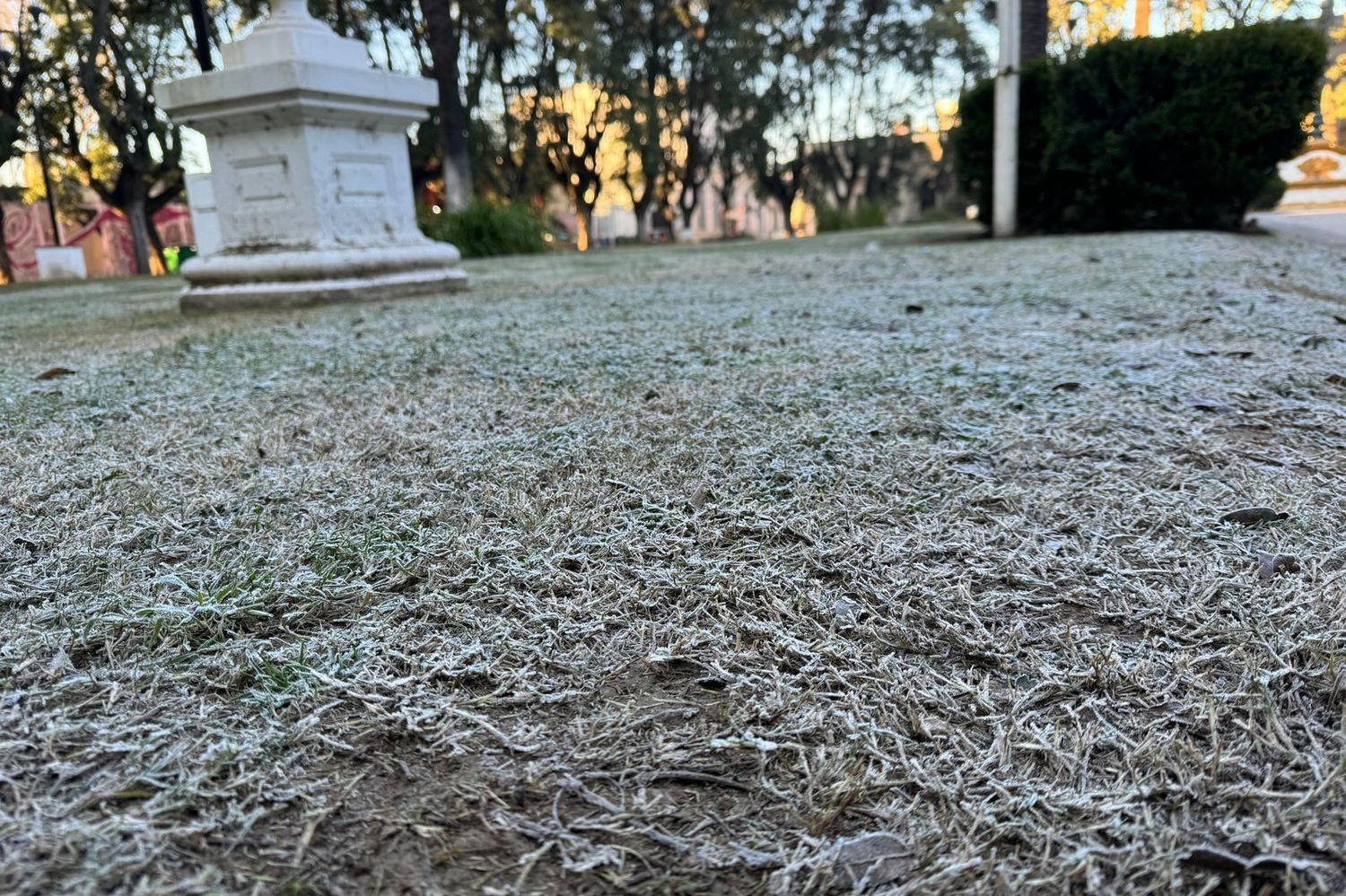 La plaza Constitución, este jueves por la mañana.