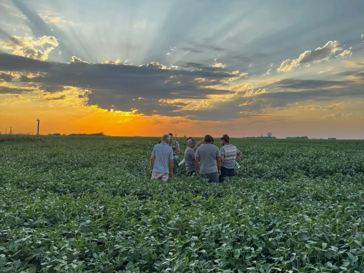Gaviglio charlas sobre plagas de insectos agro 2