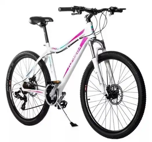 Le robaron la bicicleta que utilizaba para llevar a su hijo con autismo a la escuela