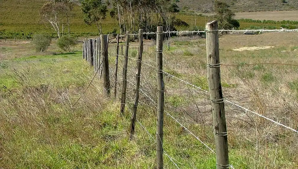 Inseguridad en el campo: “Nos preocupa el descontrol en el que estamos viviendo”