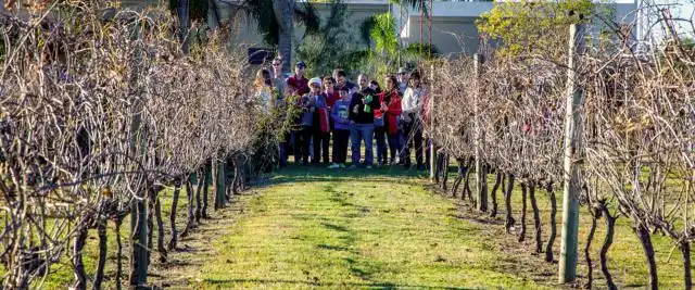 Alrededor de 1.000 personas se acercaron a los viñedos entrerrianos este 25 de Mayo