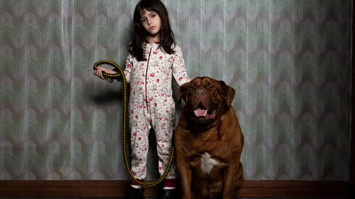 La película argentina más vista del 2023 rompió todos los récords nacionales