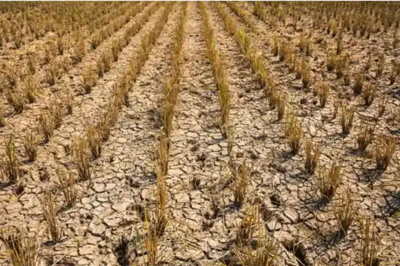 Santa Fe ya invirtió más de $4.000 millones para asistir a más de 5 mil productores afectados por la sequía