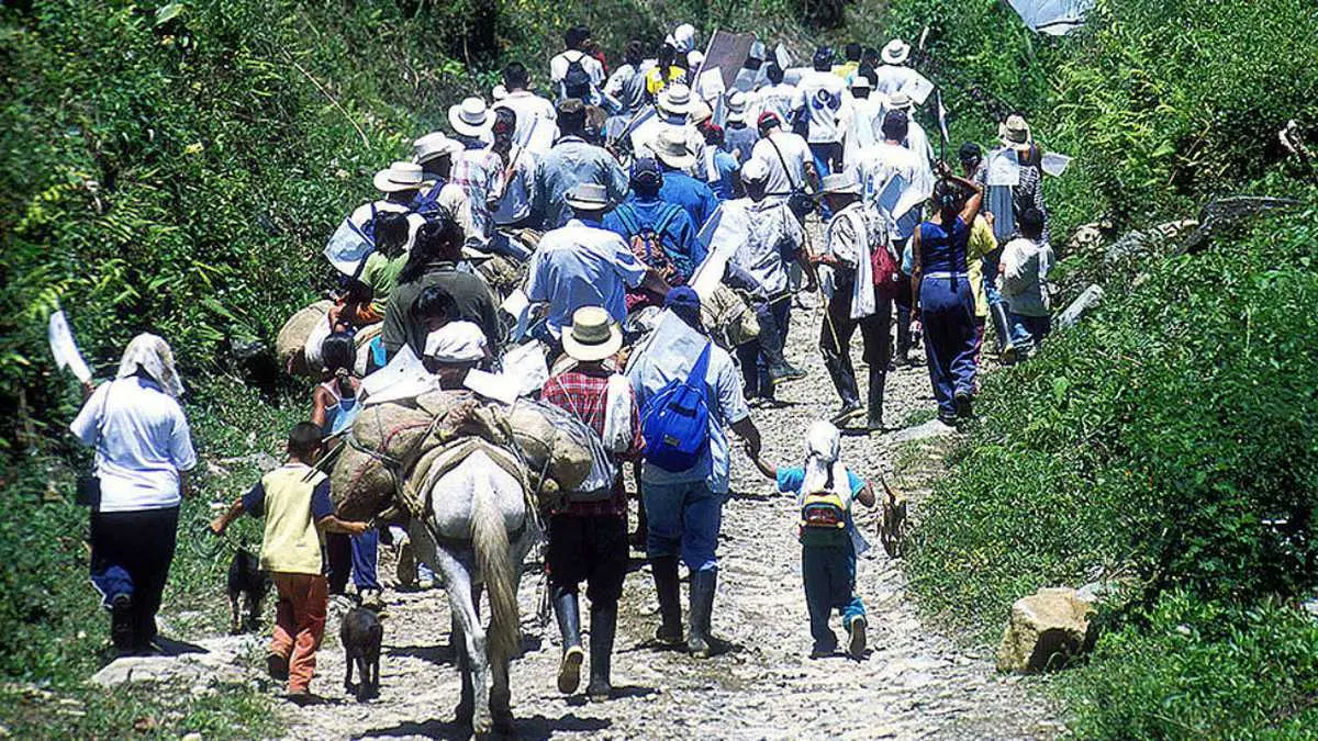 MÁS DE 300 DESPLAZADOS por combates entre las FARC, ELN y el Ejército