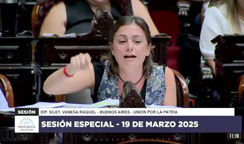 La mercedina Vanesa Siley dijo que apoyar el DNU de Milei es "votar un cheque en blanco" y se cruzó con Martín Menem