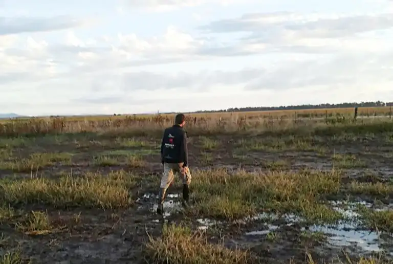 La Provincia oficializó la  emergencia agropecuaria por sequía y el campo pide más plazos