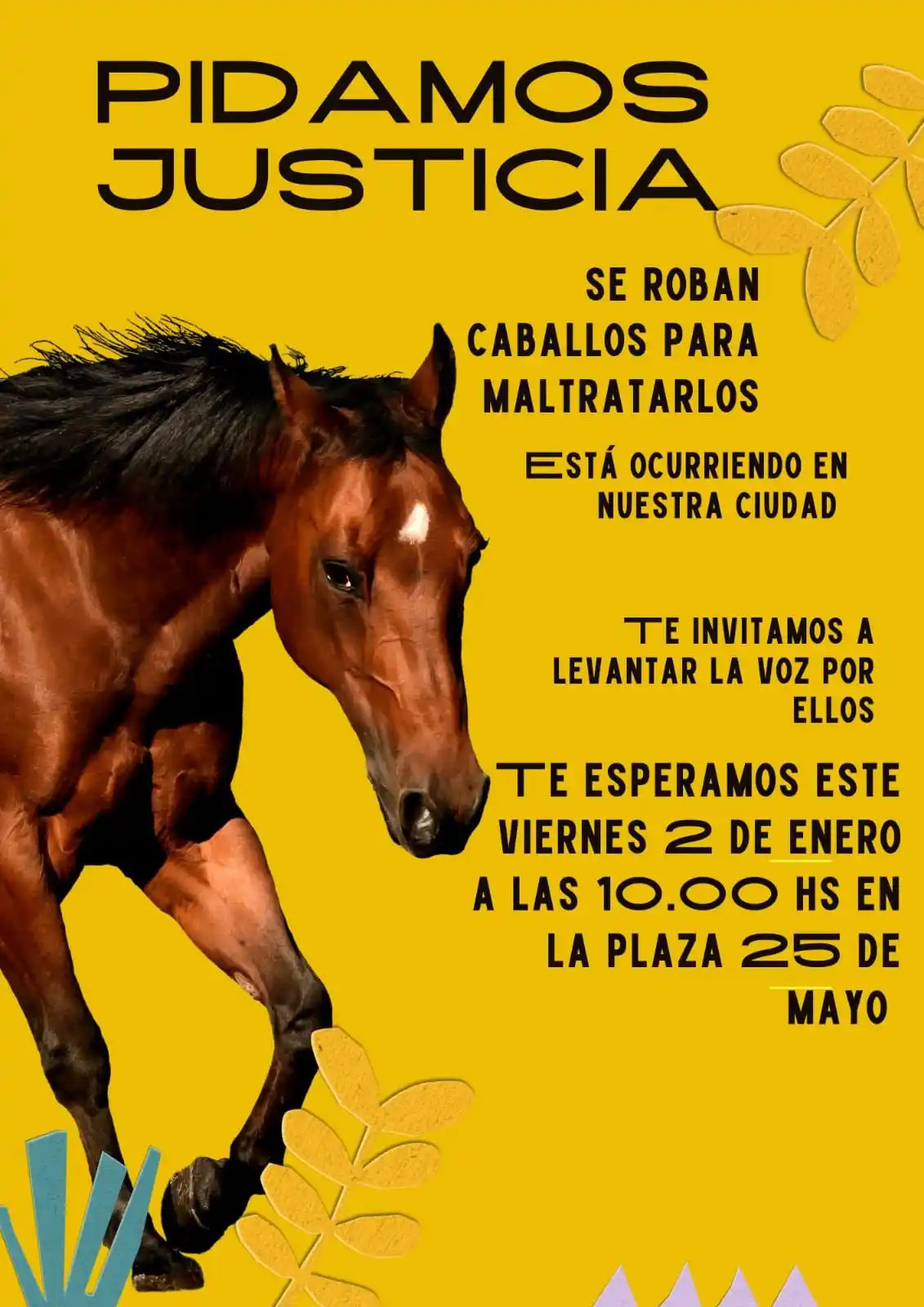 Robos de caballos y crueldad extrema: alarma en Villaguay por hechos reiterados