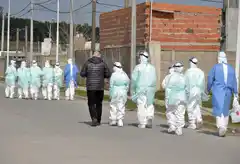 Para dar tiempo al procesamiento de muestras, el Detectar continuará con días intercalados