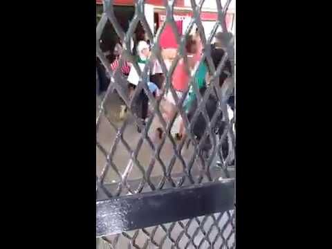 Padres atacaron a piedrazos a portera de escuela de Tigre