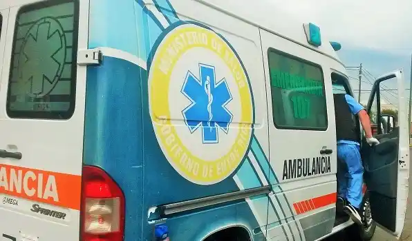 El Ministerio de Salud confirmó la primera muerte por Hantavirus