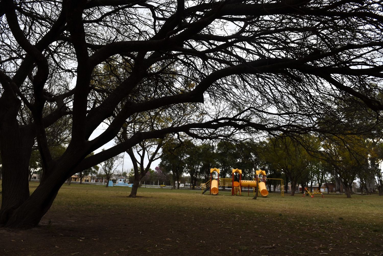 Plaza San Francisco: organizan un festival para toda la familia