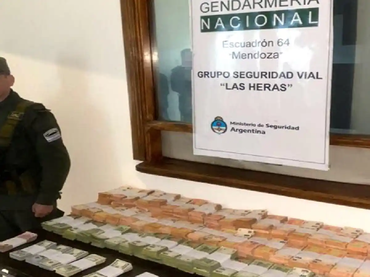 Viajaba en una camioneta por la ruta con $24.344.000 y 55.540 dólares hasta que lo pescó Gendarmería