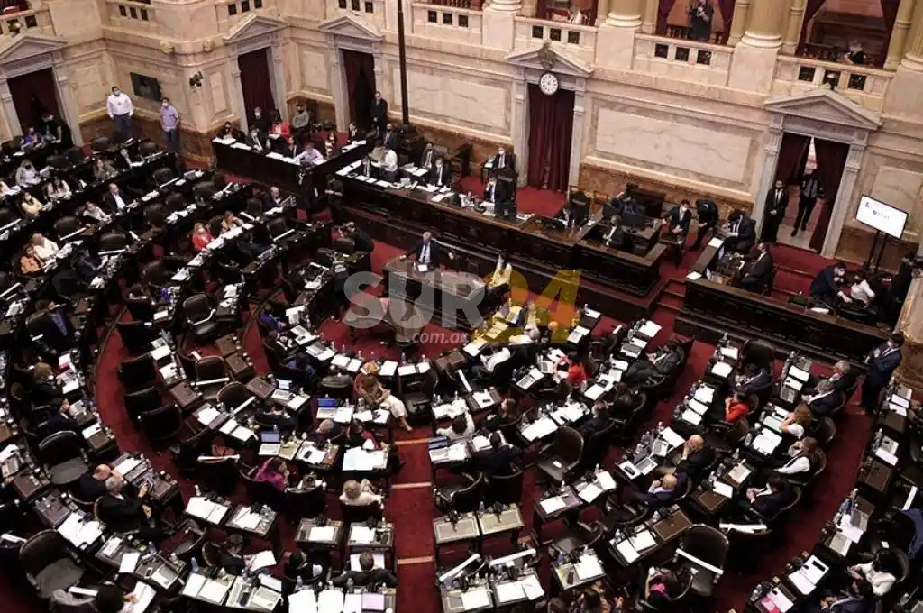 Diputados debatirá sobre la postergación de las elecciones por la pandemia