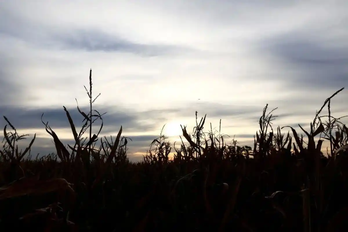 También creció el desempleo.