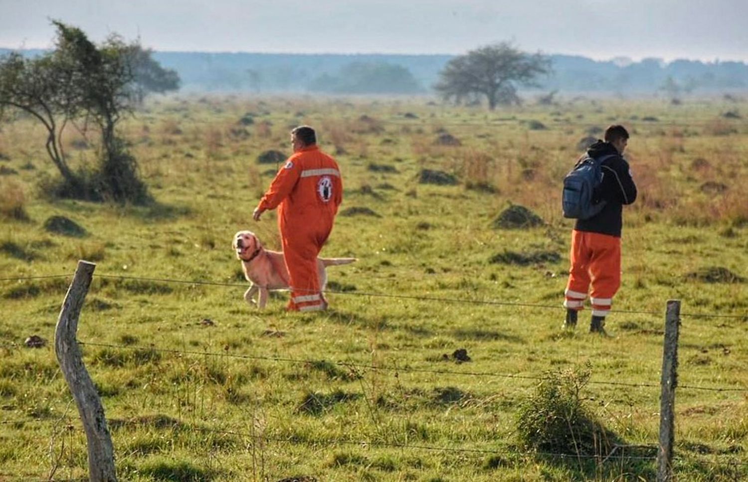 Qué es la “Alerta Sofía”, el sistema que se aplica en la búsqueda del nene de cinco años perdido en Corrientes