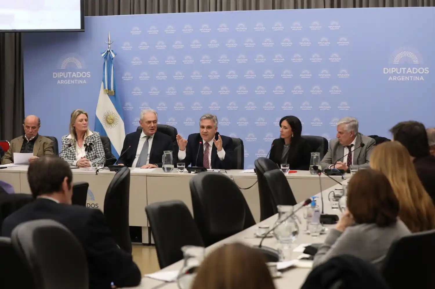 Benedetti impulsó el debate de los proyectos de creación del RIDA y la reforma a la ley de biocombustibles