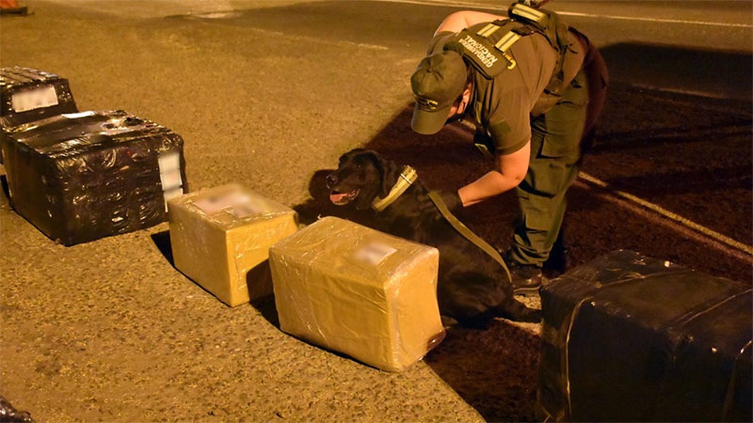 Descubrieron una encomienda con 19 kilos de droga en Entre Ríos