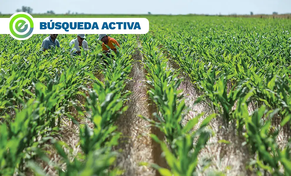 Se busca encargado para campo.